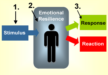 Emotional Reaction v2.jpg